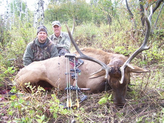 Archery Elk Hunting
