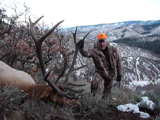 Rifle elk hunting Colorado